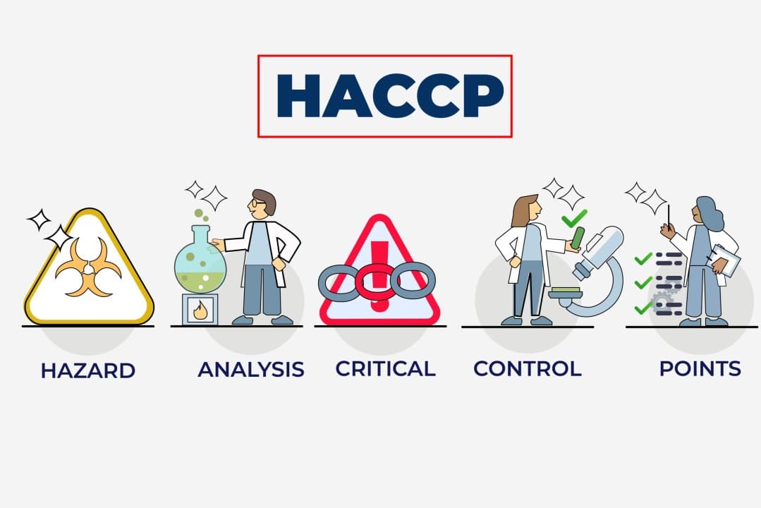 Що означає термін HACCP